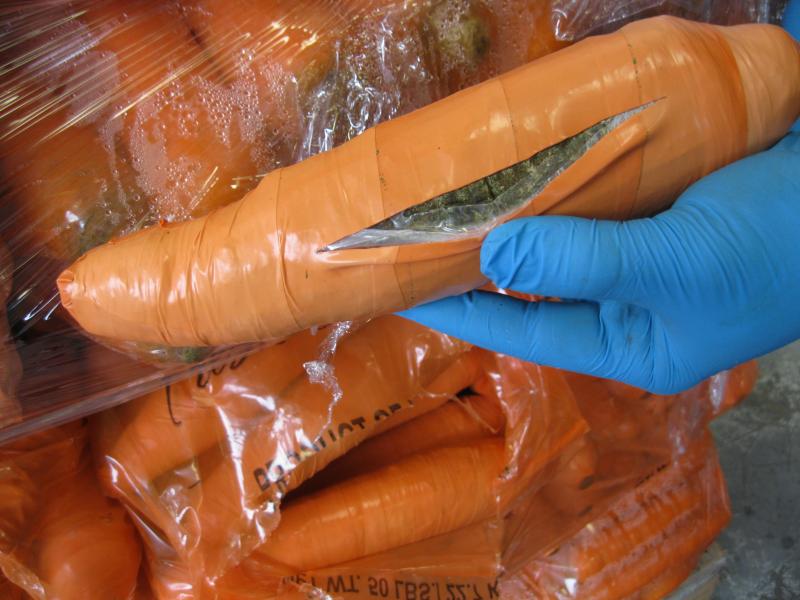 Pharr IL MJ Carrots 1131 kgs 01102016 courtesy CBP Hidalgo