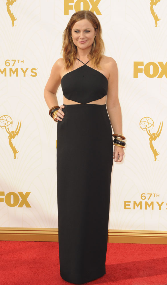 The 67th Emmy Awards arrivals Featuring: Amy Poehler Where: Los Angeles, California, United States When: 21 Sep 2015 Credit: Apega/WENN.com