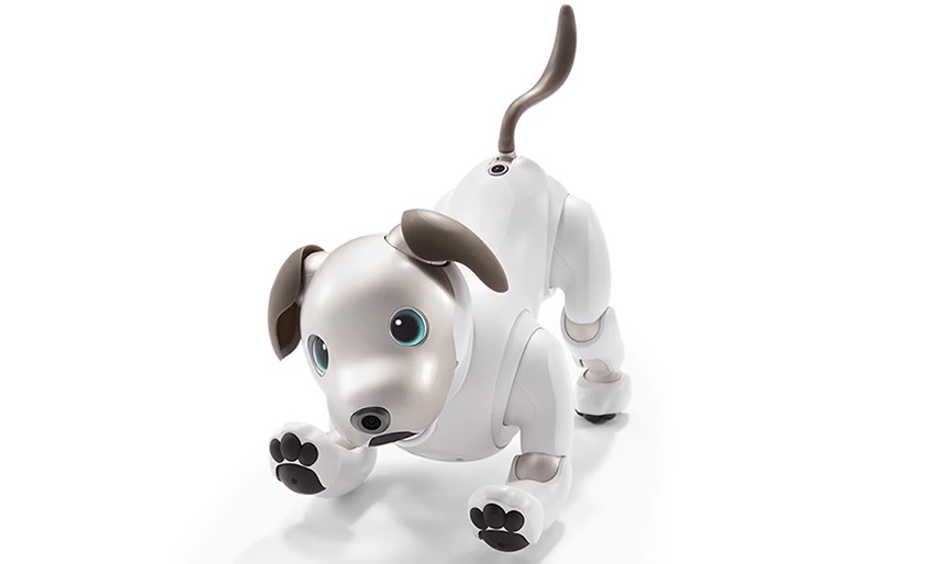 Aibo