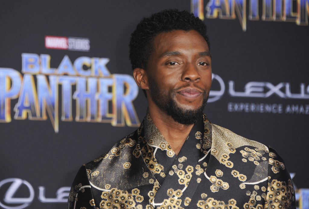 Film Premiere of Black Panther