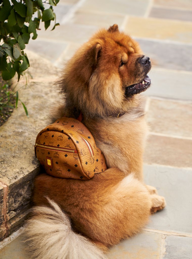 MCM POP-IN@NORDSTROM