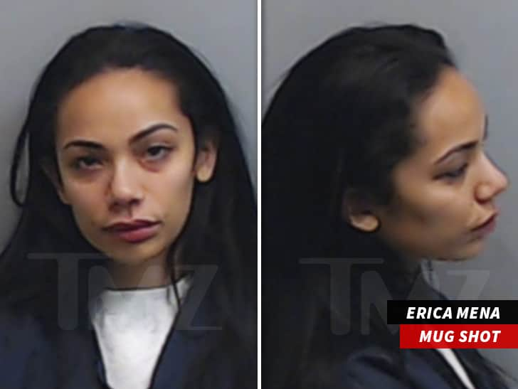 Erica Mena mugshot