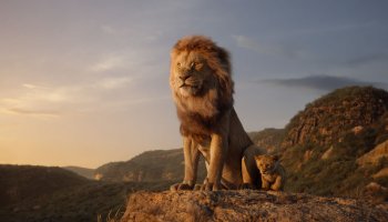 Disney's The Lion King stills