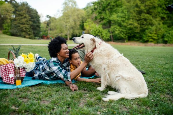 Young loving family having fun in the park