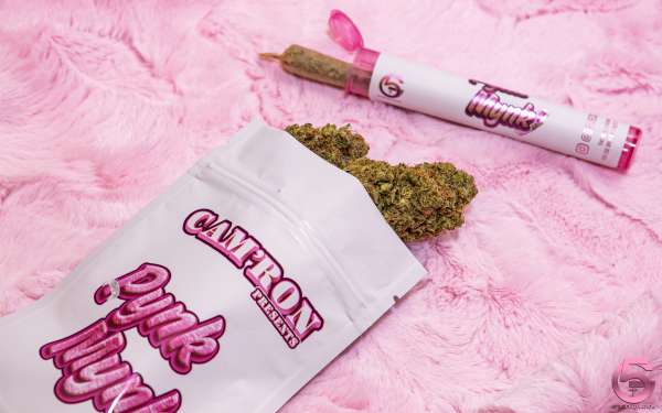 Cam'ron X GFive Cultivation X Pynk Mynk