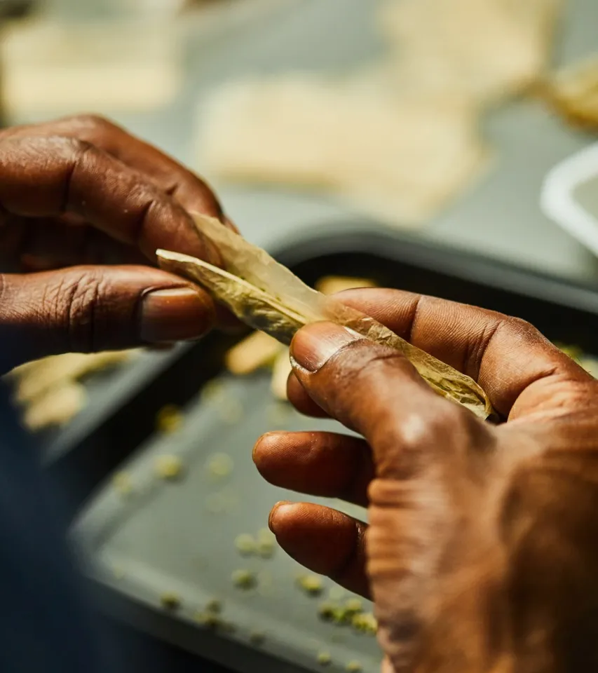 Mike Tyson’s Cannabis Brand "Tyson 2.0" Expands To Over 100 Cali Retailers