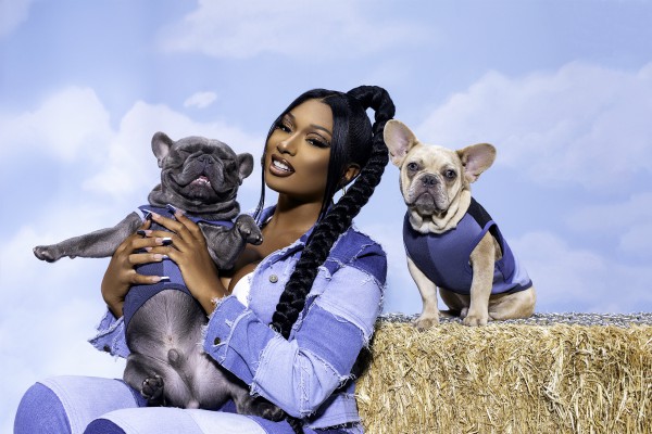 Megan Thee Stallion X Fashion Nova