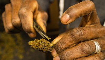 A Hemp Farm As New York Gets Closer To Legalizing Recreational Marijuana