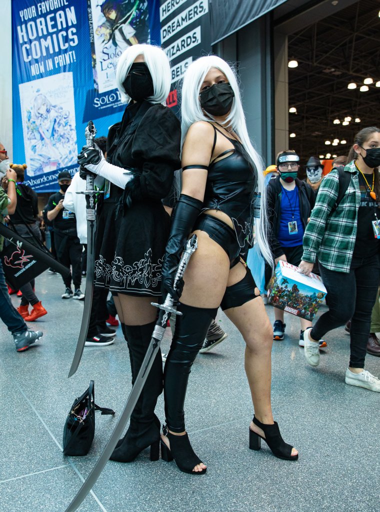 2B and A2 (NieR : Automata)