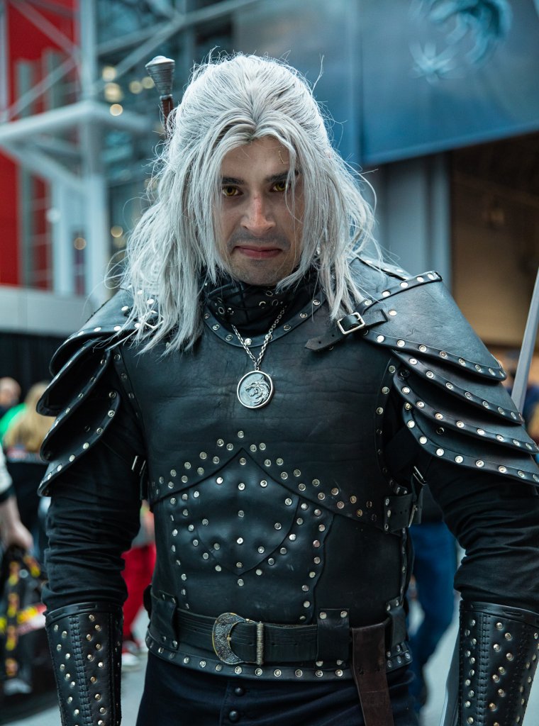 Geralt The Witcher