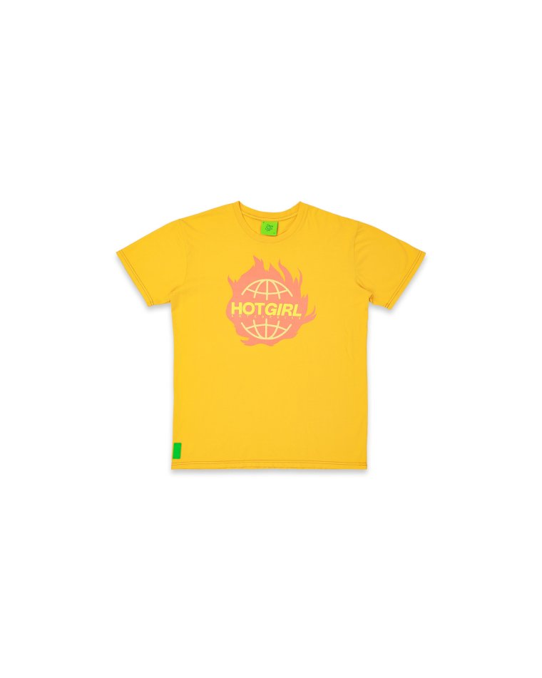 Megan Thee Stallion x CashApp