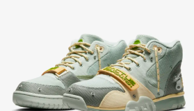 Air Trainer 1 x CACT.US CORP Grey Haze and Dusty Sage