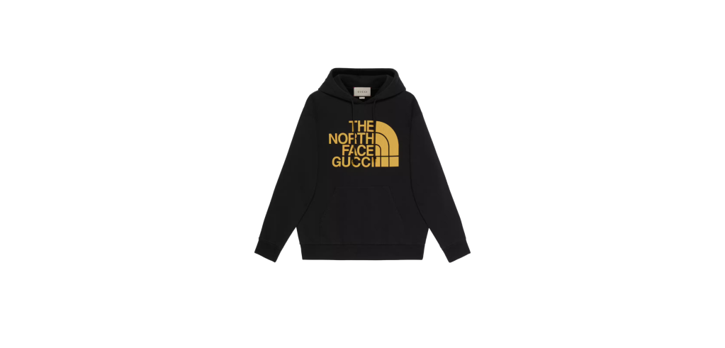 NORTH FACE GUCCI CHAPTER 3