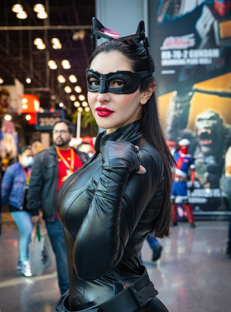 Catwoman (The Dark Knight Rises)