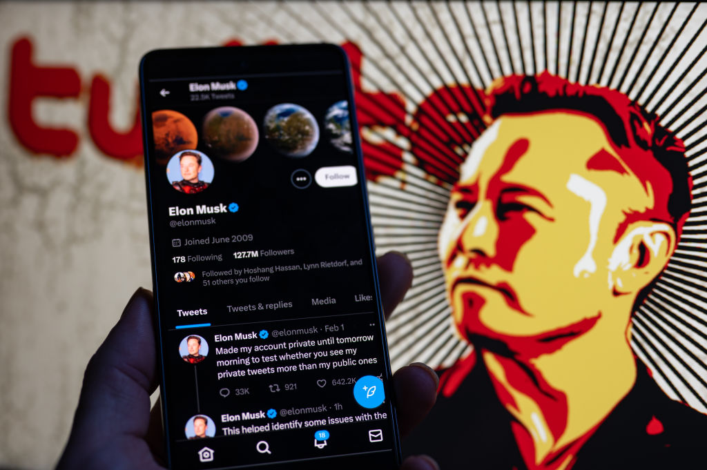 Elon Musk Twitter Private Illustration