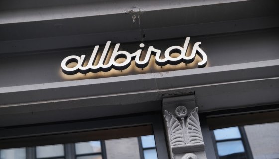 As Allbirds Sales & Stocks Plummet, CFO Shown The Door & Store Openings Deaded
