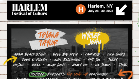 Harlem Festival Of Culture