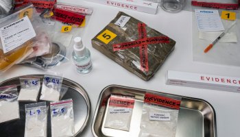 Fentanyl heroin Rosa Baez NYPD Cesar Martinez officer arrested kilo kilogram