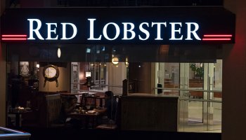 Red Lobster's restaurant entrance sign light up at night.