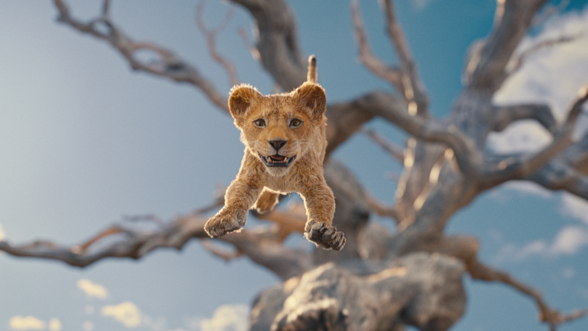 The Lion King' Teaser Trailer Arrives, X Users React