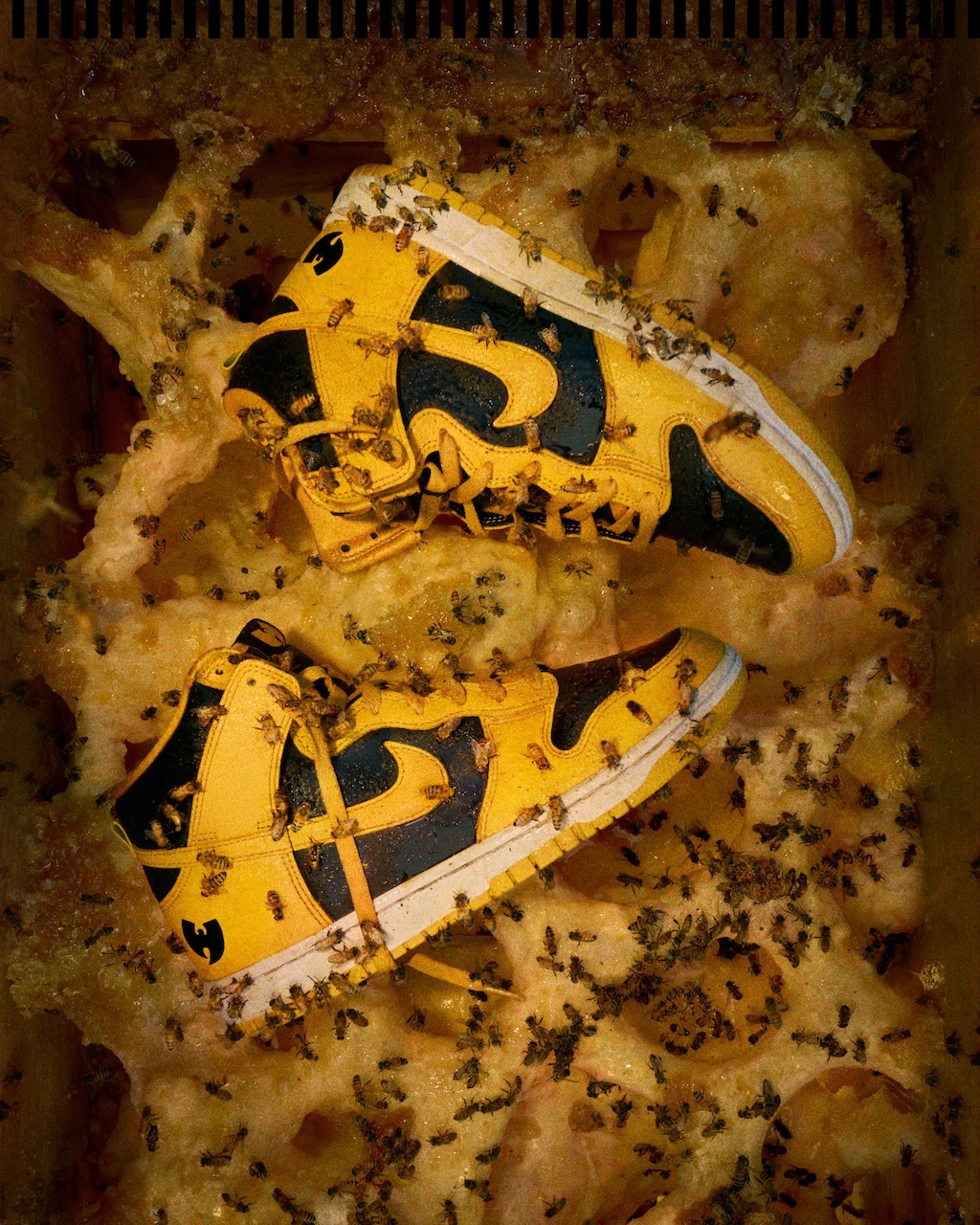 Nike Wu-Tang Clan Dunk 