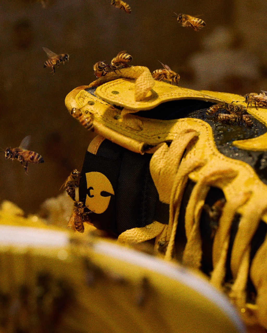 Nike Wu-Tang Clan Dunk 