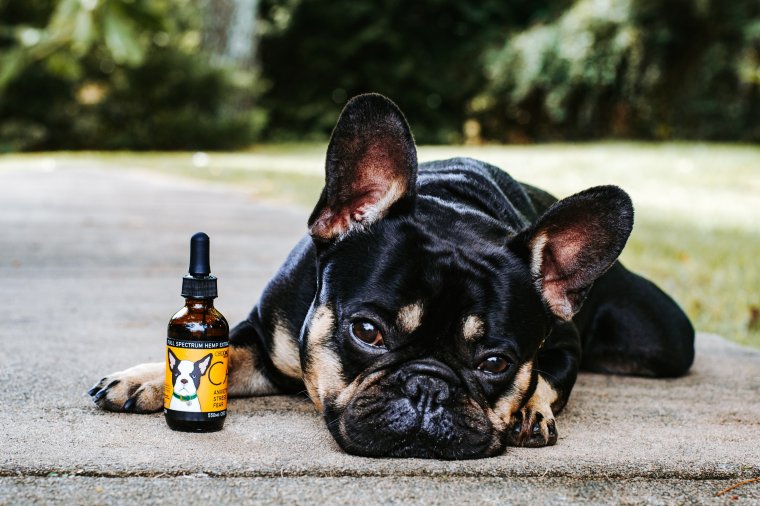 Calm CBD Oil for Dogs