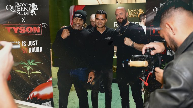 Royal Queen Seeds — TYSON 2.0 Collab Seeds