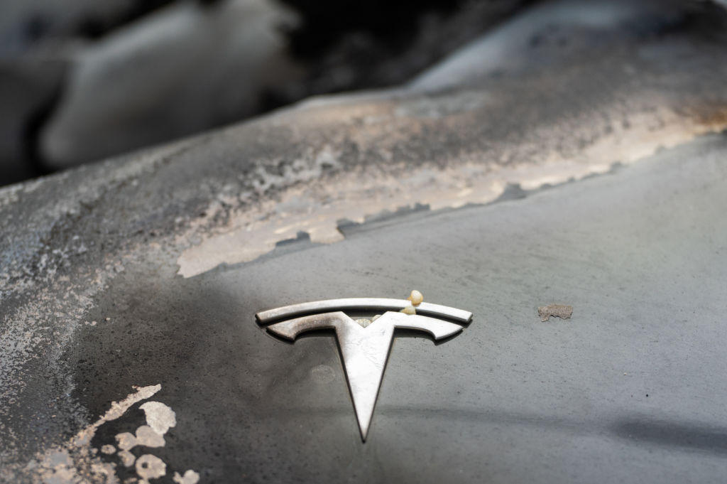 Burnt-out Teslas in Berlin