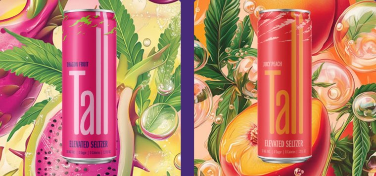 Evermore Tall Seltzer