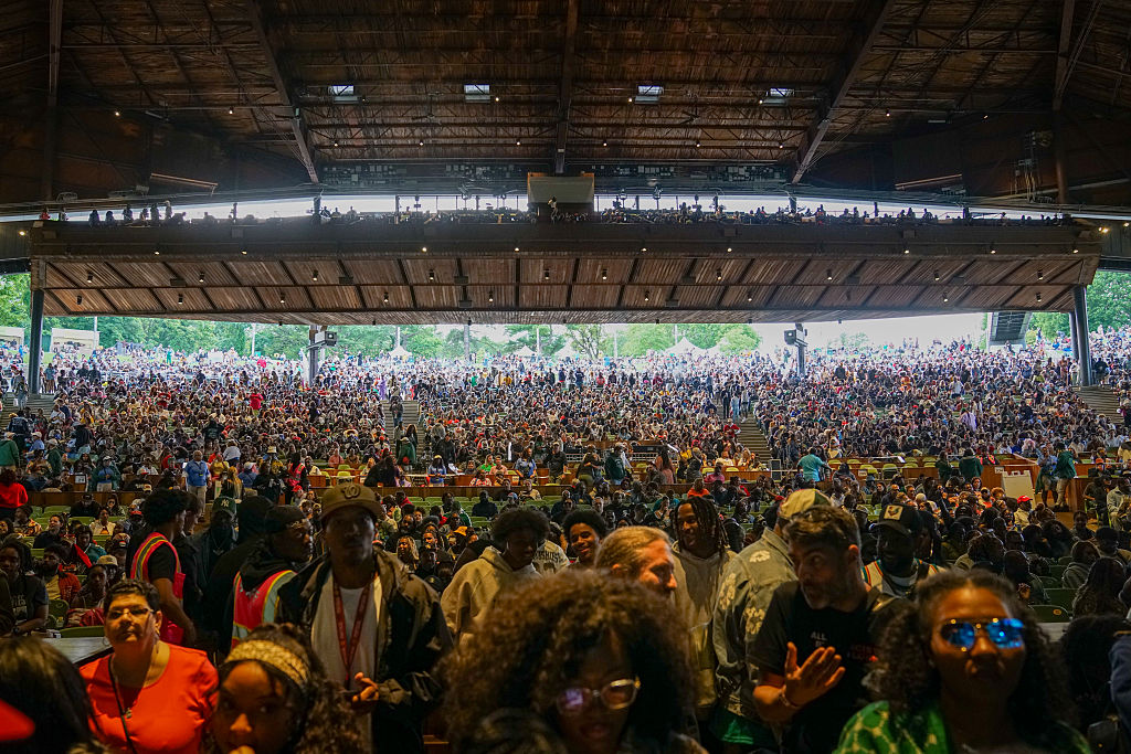 2025 Roots Picnic
