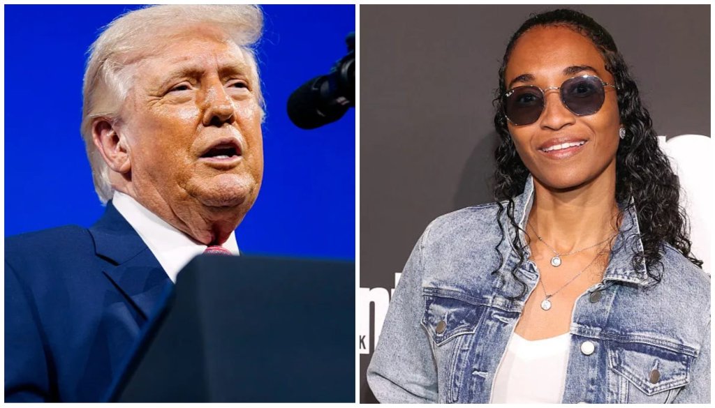 TLCs Chilli Allegedly Donated To Worlds Biggest Scrub, Donald Trump, Social Media Reacts