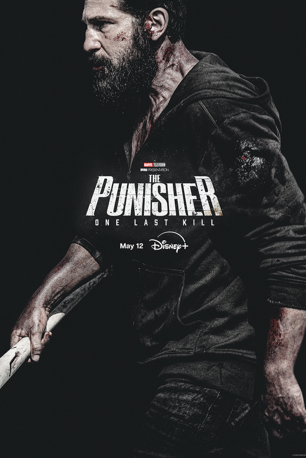 Punisher: One Last Kill