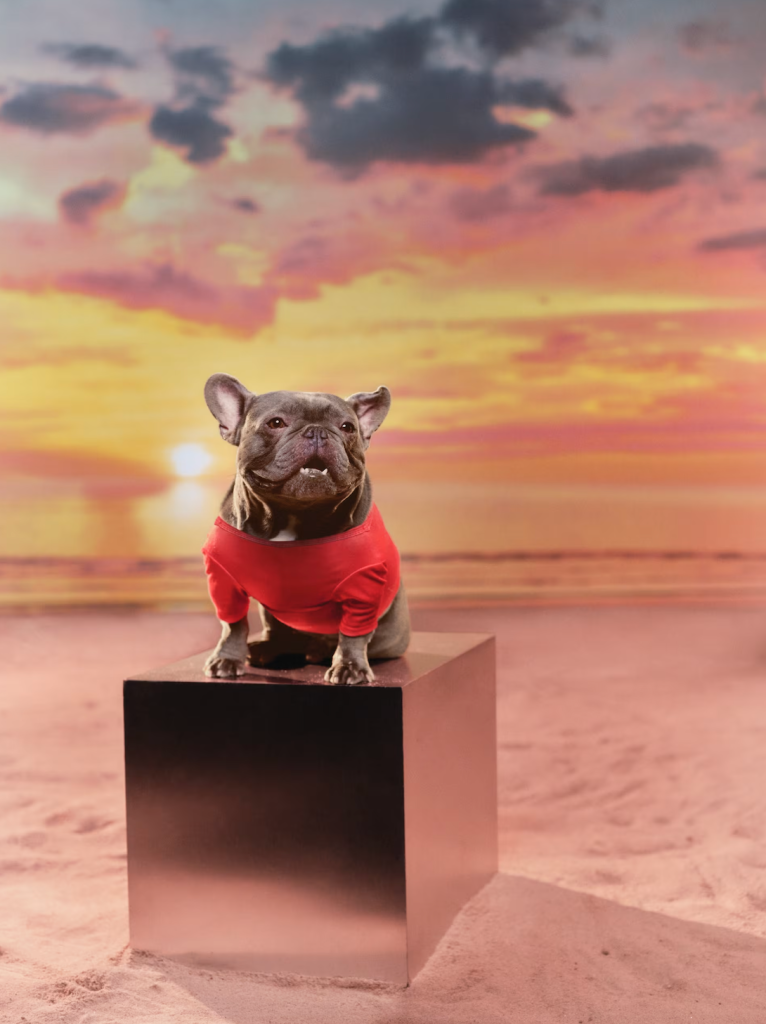 Megan Thee Stallion x Hot Girl Summer