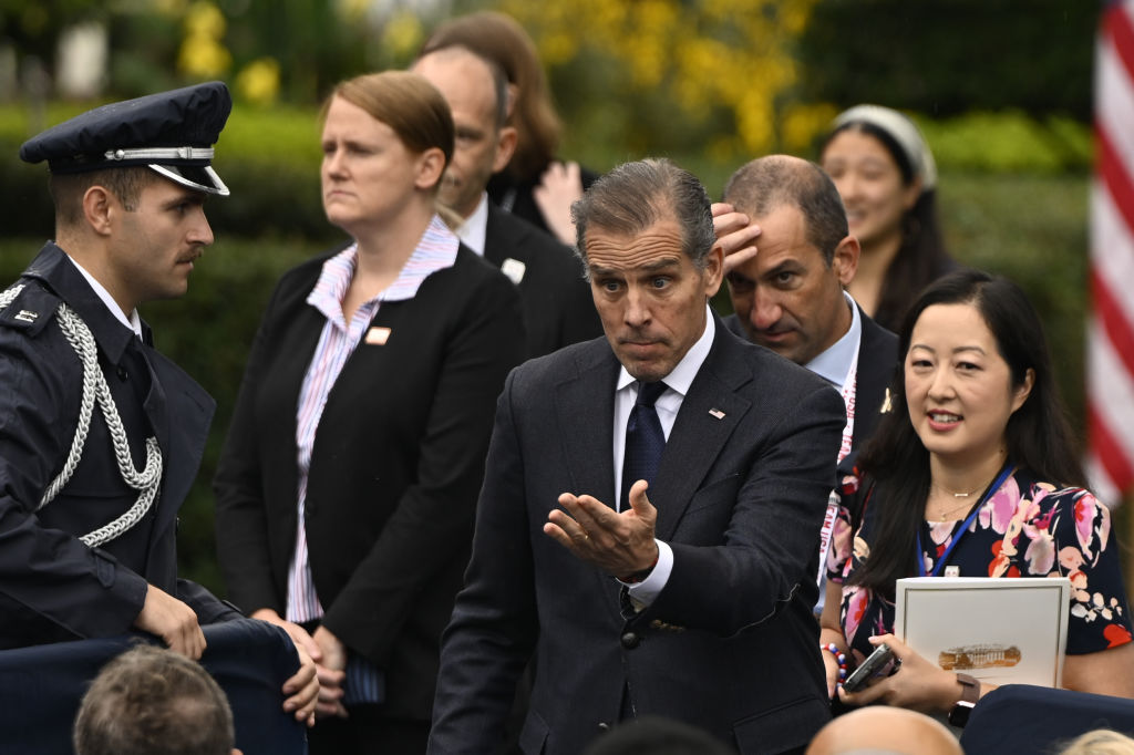 Hunter Biden Gives Democrats Sound Advice Following Shocking DSA Primary Wins