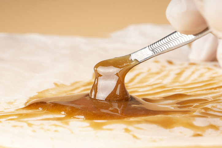 Check Out Our 710 Day Cannabis Roundup Check Out Our 710 Day Cannabis Roundup