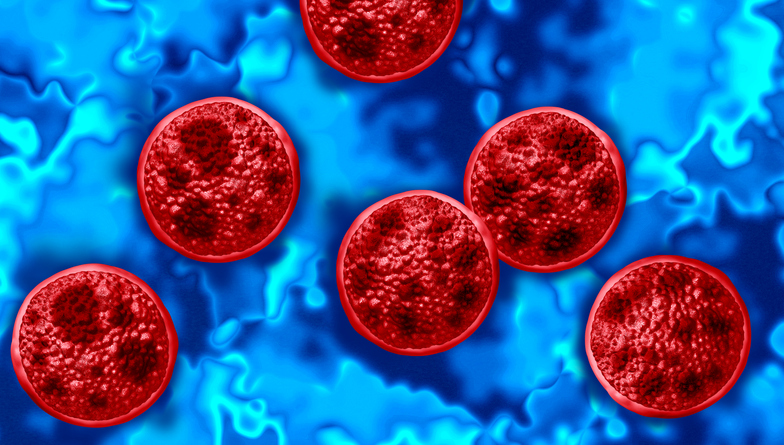 Trump Administration’s CDC Cuts Under Fire After Cyclospora Outbreak