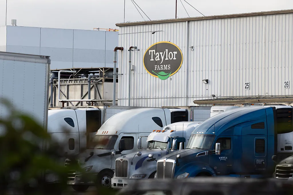 Cyclosporiasis Outbreak Traced To Iceberg Lettuce From Produce Giant Taylor Farms